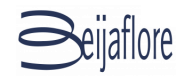 logo_beijaflore